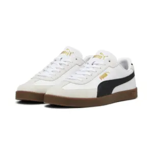 Puma2 (38)