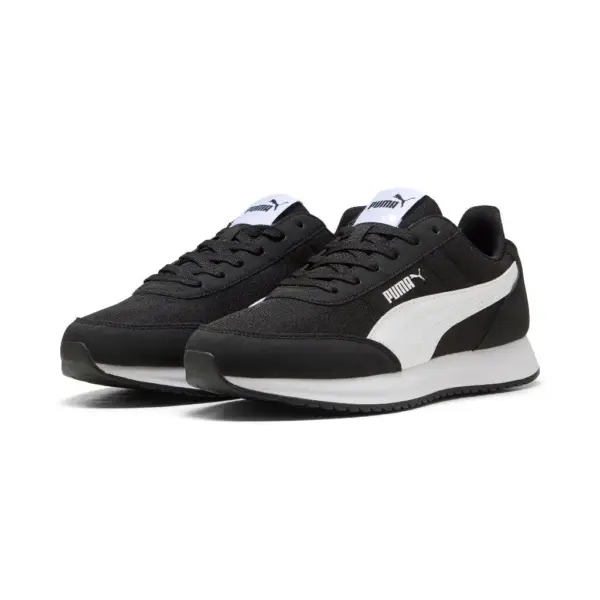 Puma2 (45)