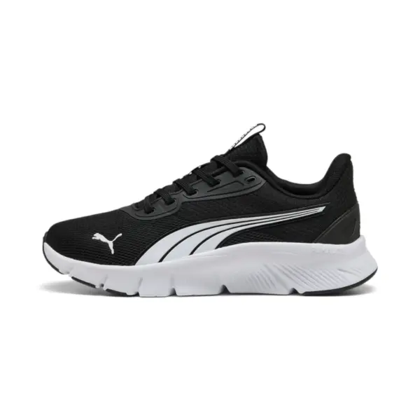 Puma2 (48)