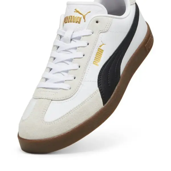 Puma2 (51)