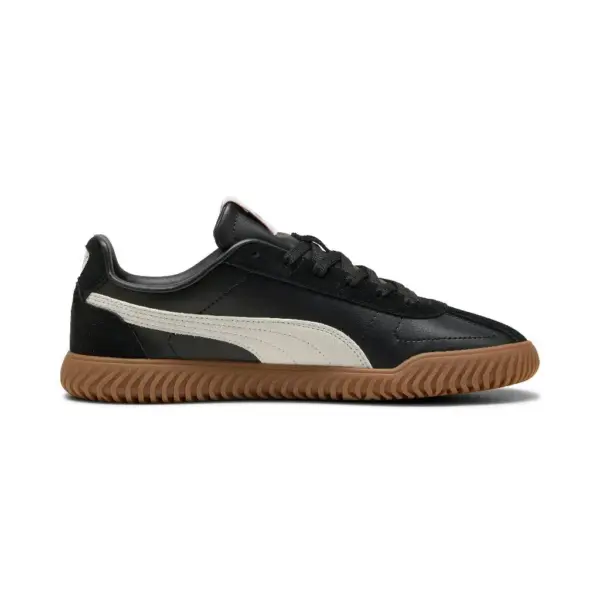 Puma2 (53)