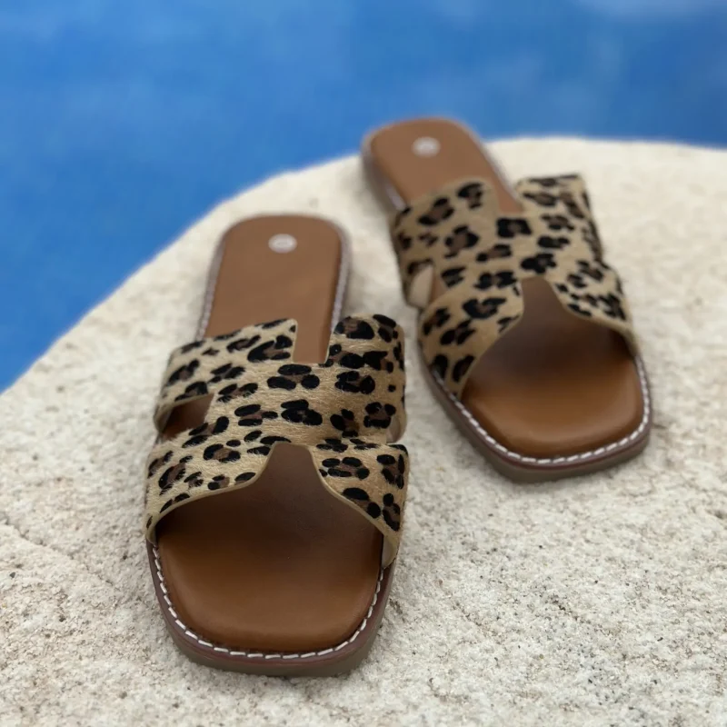 Pala leopardo (1)